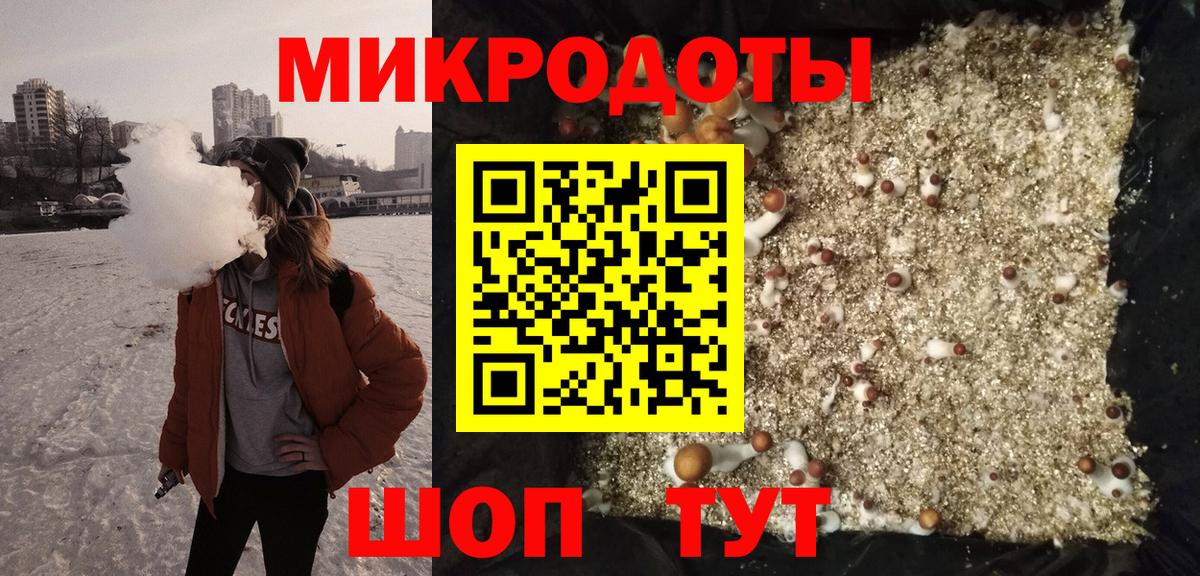 Галлюциногенные грибы MAGIC MUSHROOMS  Вход с VPN  Севастополь 