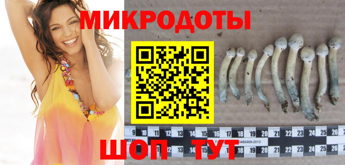 Псилоцибиновые грибы прущие грибы Севастополь